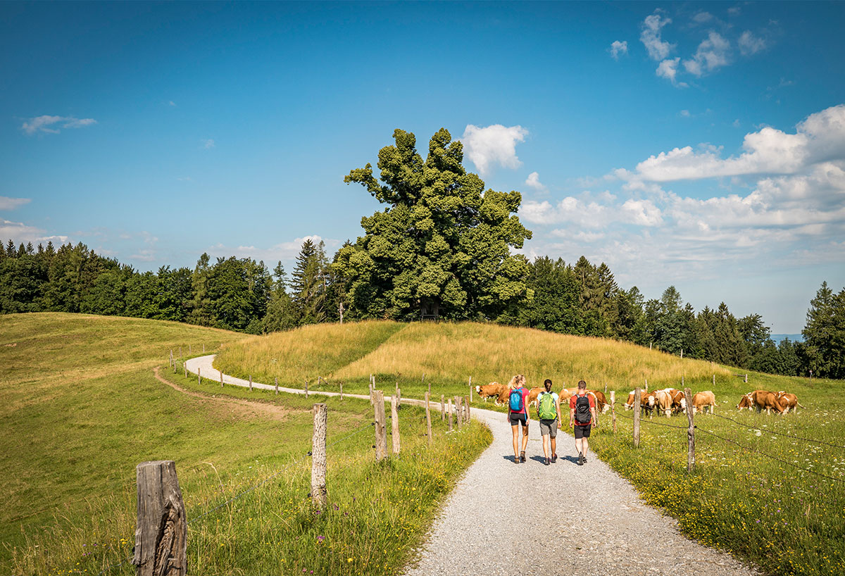 © Thomas Kujat | Chiemsee-Alpenland-Tourismus