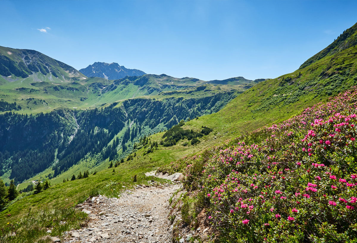 © Daniel Roos | TVB Saalbach-Hinterglemm