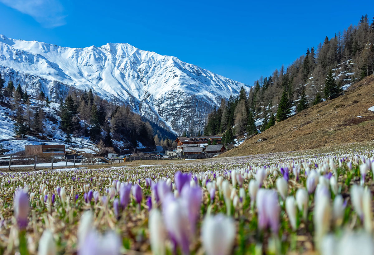© Peter Maier | TVB Osttirol