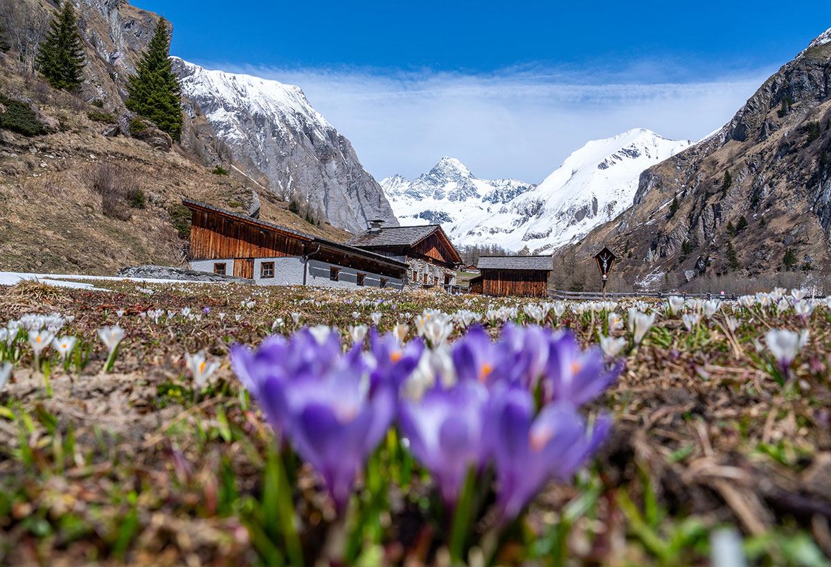 © Peter Maier | TVB Osttirol