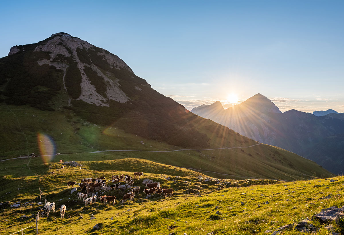 © Erste Ferienregion im Zillertal | Andi Frank