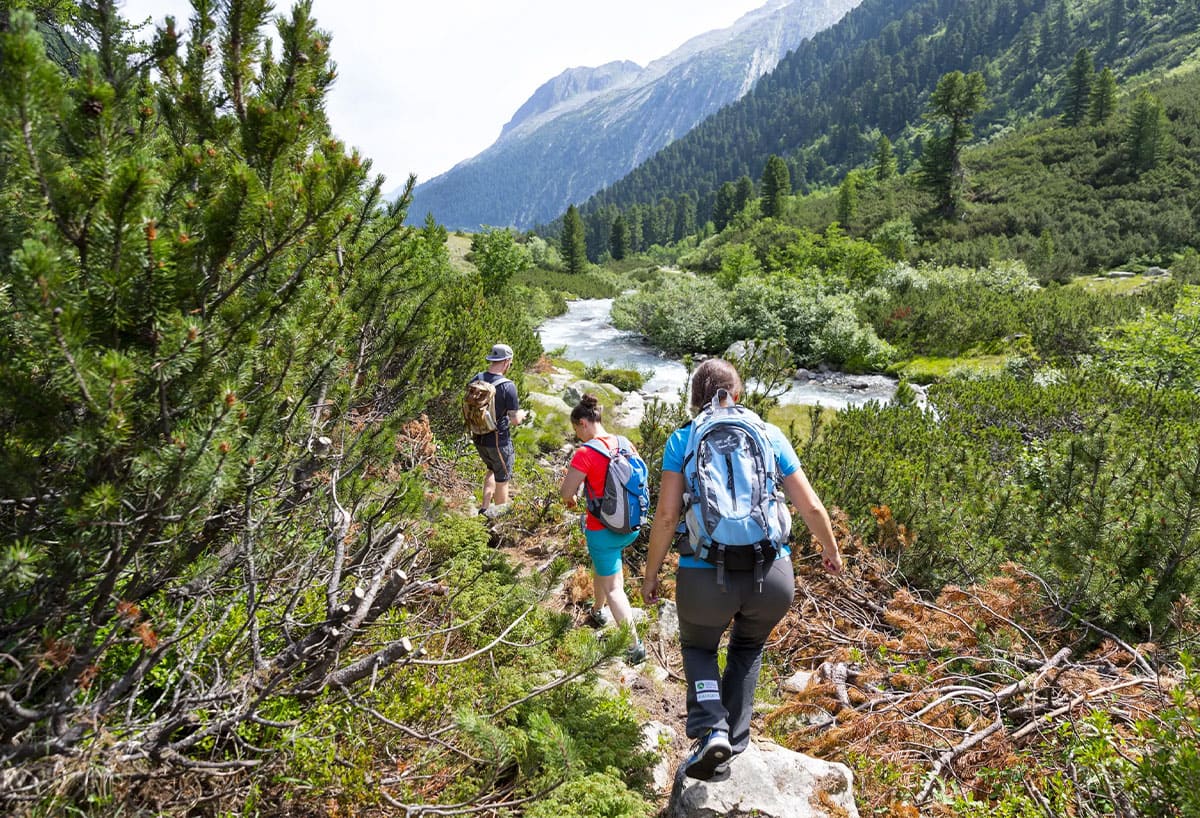 © W9 Studios - Seiwald | TVB Mayrhofen