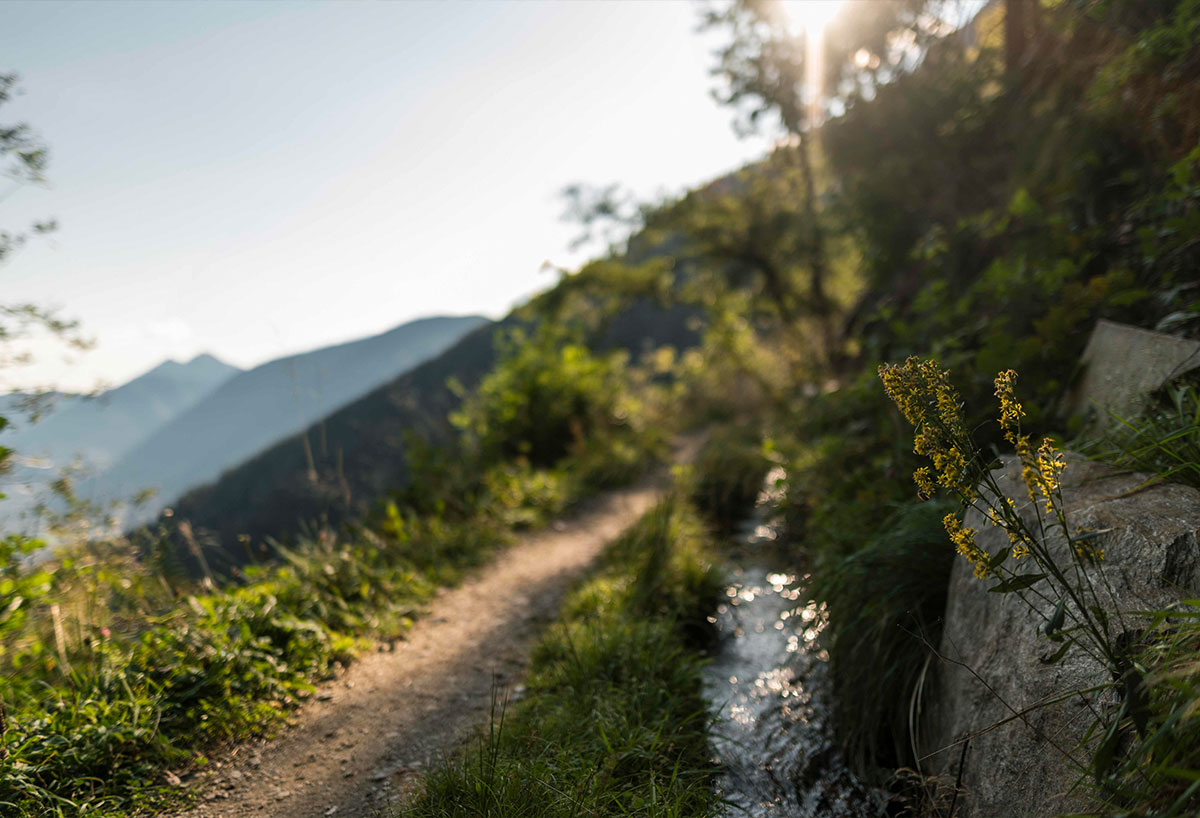 © Patrick Schwienbacher | IDM Südtirol