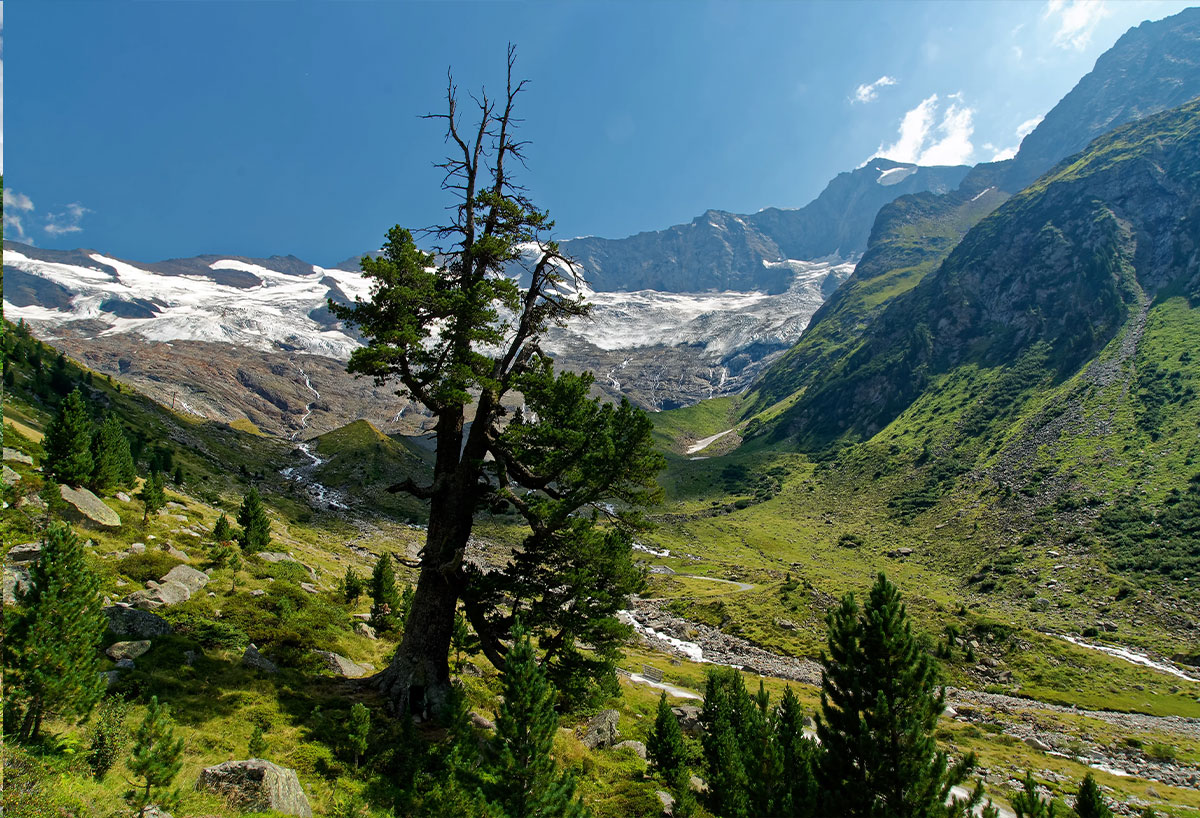 Krimmler Achental © Zillertal Arena