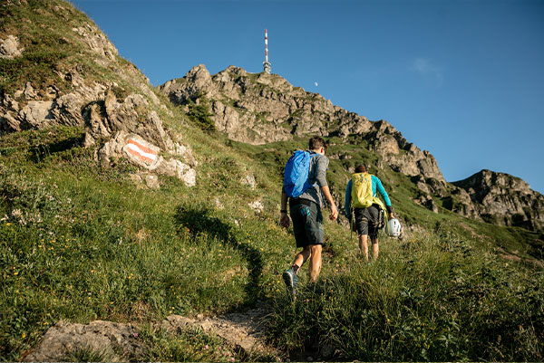 Kitzbüheler Horn © Mirja Geh | TVB Kitzbühel
