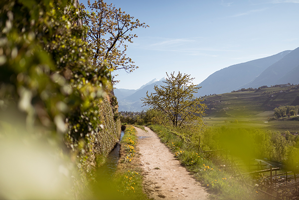 © Patrick Schwienbacher | IDM Südtirol