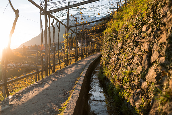 © Patrick Schwienbacher | IDM Südtirol