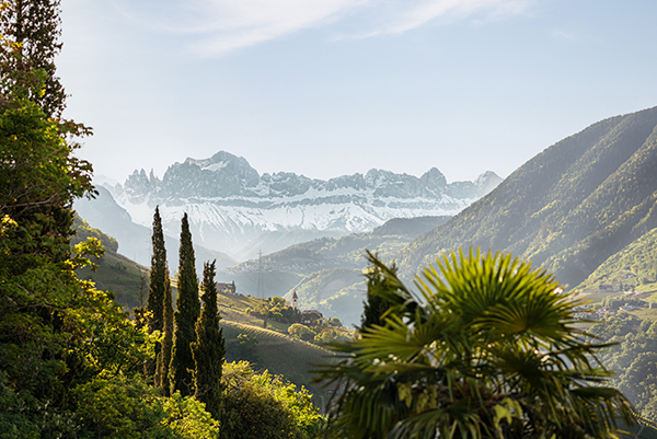 © Tobias Kaser | IDM Südtirol