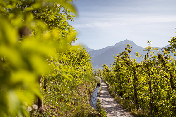 © Alex Filz | IDM Südtirol