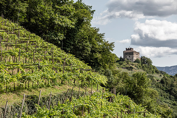 © Tiberio Sorvillo | IDM Südtirol