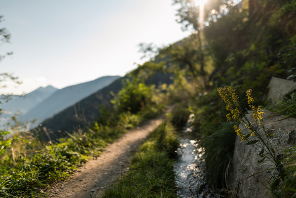 © Patrick Schwienbacher | IDM Südtirol